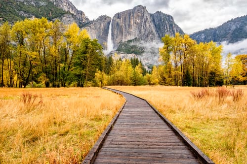 meadow with a boardwalk of Yosemite National Park in the fall